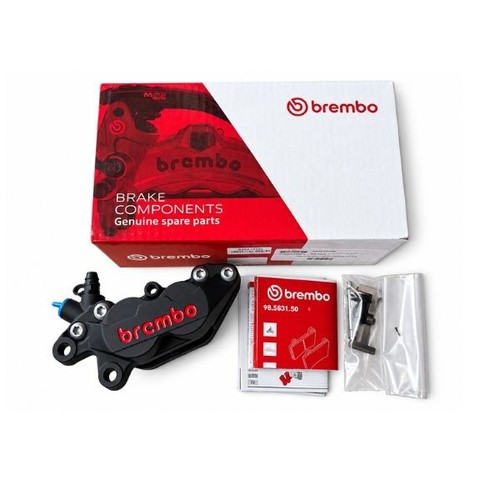 Pinza freno lato sinistro